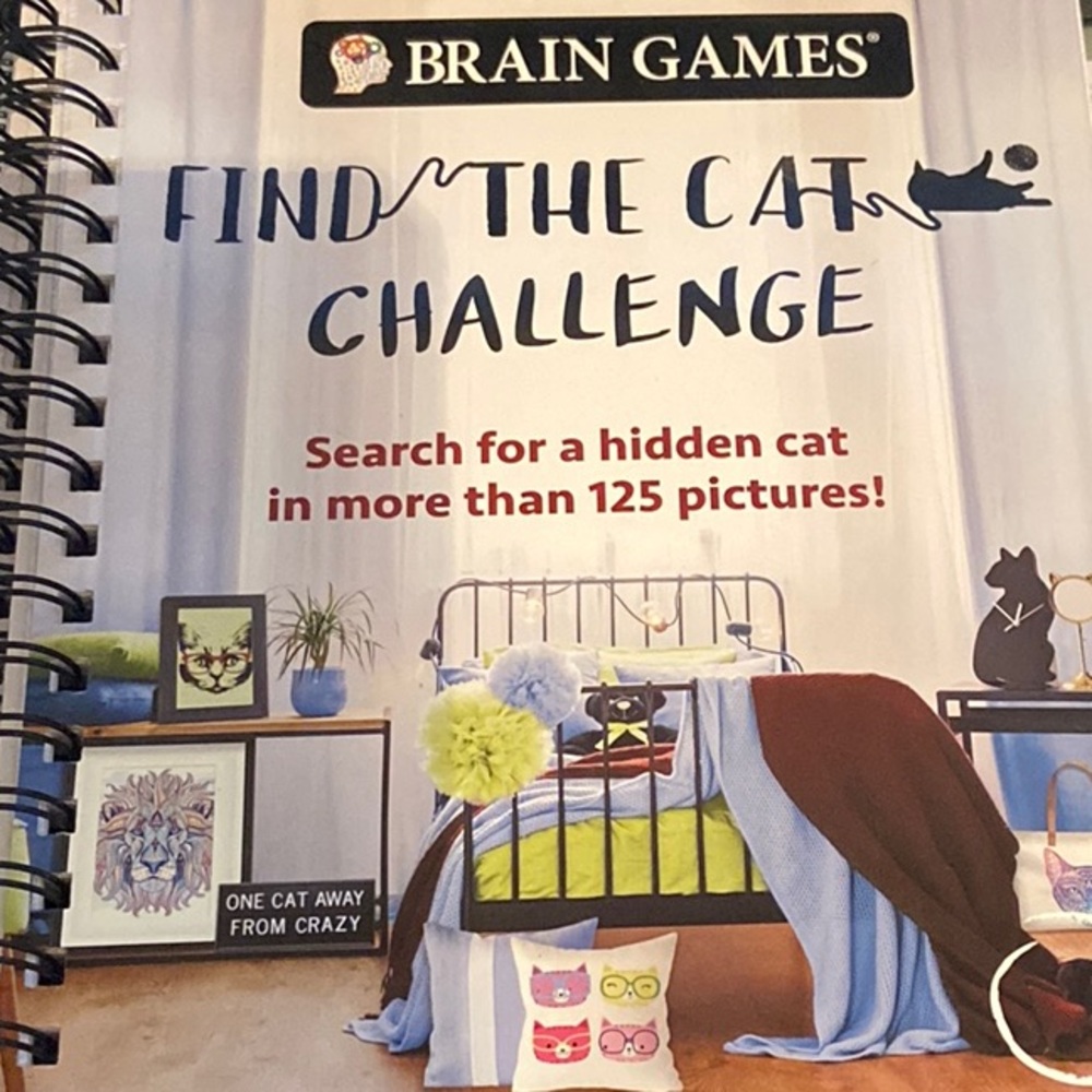 Find the Cat Puzzle Book - Full Color Puzzles